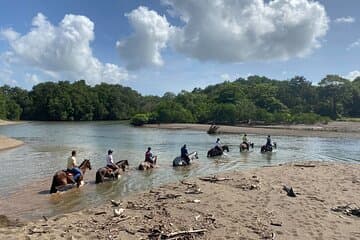 2h 1/2 HORSEBACK RIDING TOUR