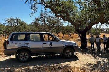 סיור קורק 4x4 עם ארוחת צהריים אופציונלית