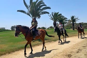 רכיבת סוסים עם הסעה פרטית