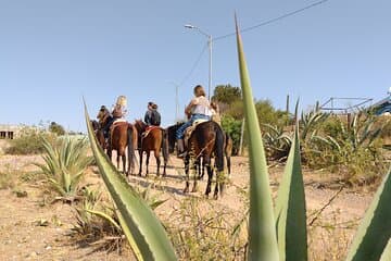 חוויה רוכבית מקסיקנית