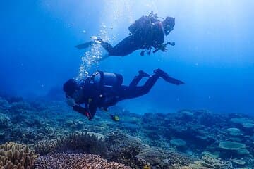 צלילת SCUBA באוקינאווה למגני צלילה מוסמכים (3 צלילות בסירה + ארוחה)