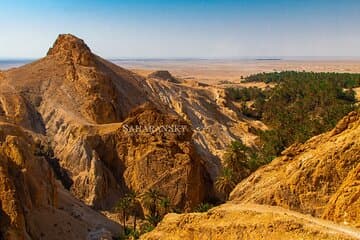 סיור פרטי בתוזור לחצי יום: קניוני תמרזה, שביקה ומידס