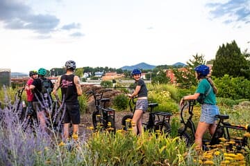 3-Hour E-Bike Sightseeing and Breweries Tour in Roanoke