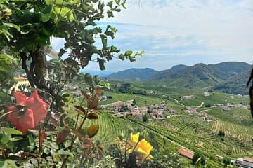 Prosecco Hills Wine and Food Tour from Venice and Treviso