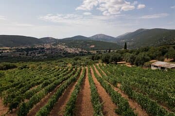 סיור יין kefalonia.