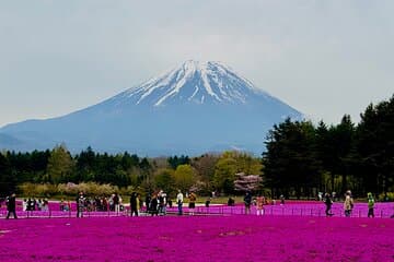 VIP Mt. Fuji, Lake Kawaguchiko & Lake Yamanakako One Day Tour