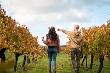 Hidden Gems: Full-Day Wine, Scones, Lunch and Local Produce Tour