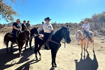 רכיבת סוסים ביער ג'ושוע טרי, בuffalo, ארוחת צהריים, שירה עם קאובוי.