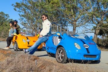 The Ultimate Monterey Bay and Cannery Row GoCar Tour
