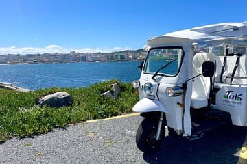 Private VIP Tour in Tuk tuk A Coruña