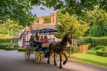 Killarney Jaunting Car Tour- Park to Castle