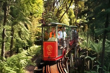 Coromandel Train Scenic Journey Through the Woods