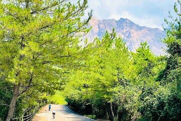 מסע טיפוס על הלבה של סאקורה ג'ימה במאה עם אופניים חשמליים