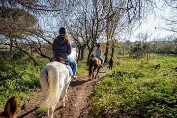 סיור מודרך בפומפיי ורכיבה על סוסים בוסוביו עם ארוחת צהריים