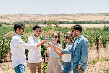 סיור בעיר טולדו, חוויית יקב וטעימת יין ממדריד