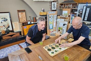 סיור אופני חשמליים נופי בהר פוג'י
