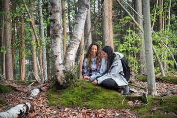 Mindful Forest Escape: A Transformative Journey for Inner Calm