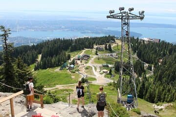 Grouse Mountain & Capilano Bridge Tour with Fish Hatchery