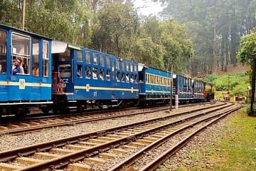 Coimbatore to Ooty Day Trip - Explore A Perfect Hill Station 