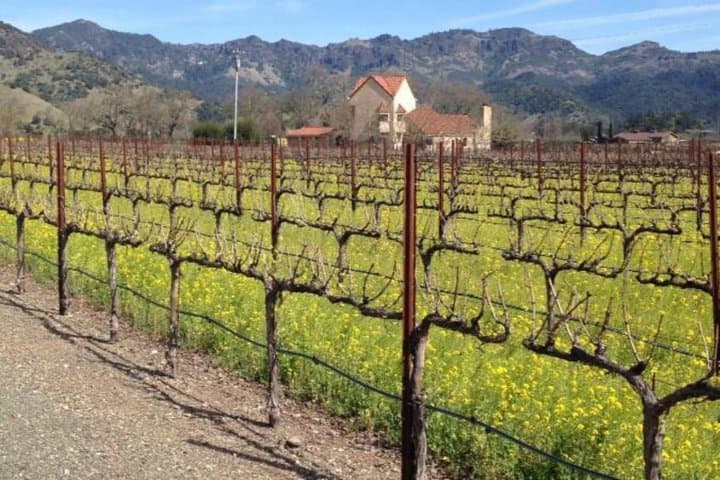 טיול אופני חשמליים עצמאי בעמק דרי קריק של היאלדסבורג