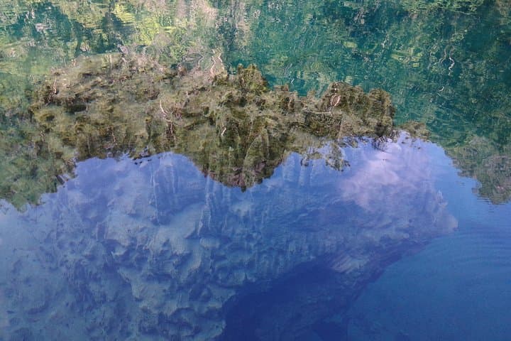 סיור שוניות וקוריסט קורון D