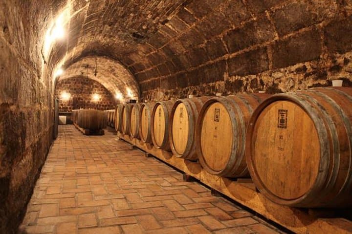 Countryside Half-day Gastro-Wine Tour from Budapest Meal & pickup