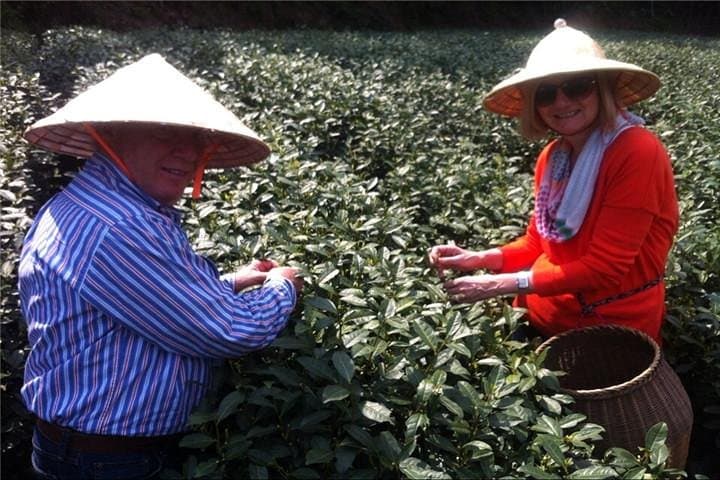 In-Depth Tea Tour: Visit Tea Farms, Taste Longjing & Meet Locals