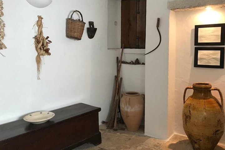 דלגו על התור: כרטיס כניסה לטרולו סוברנו