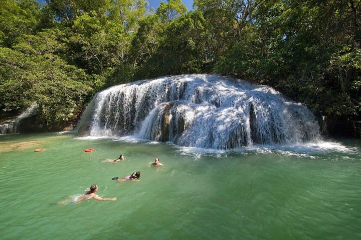 דלגו על התור: כרטיס כניסה לאסטרנסיה מימוזה
