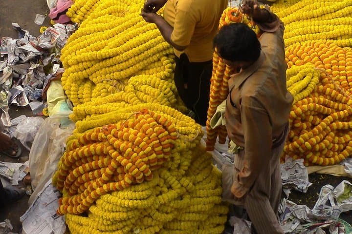 סיור השעה הקסומה