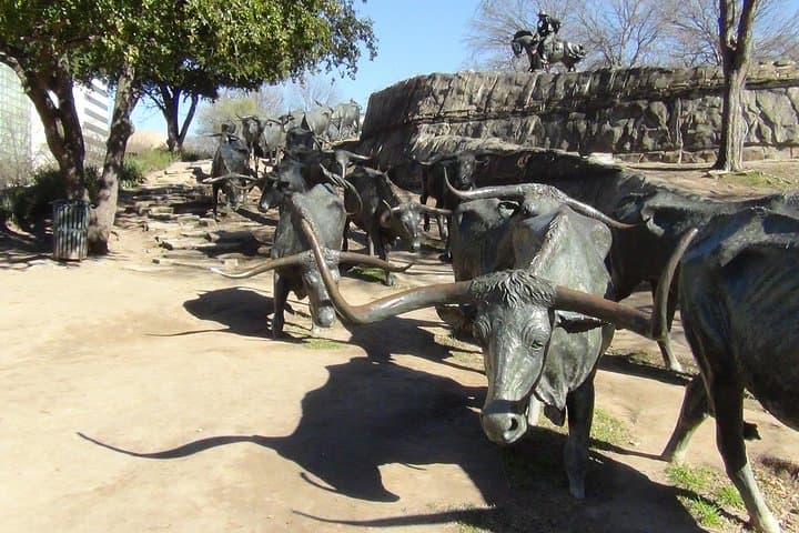 סיור בעיר דלאס ופורט וורת' בקבוצות קטנות