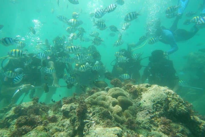 קפיצות חופי באלי - מקדש אולוא Atu