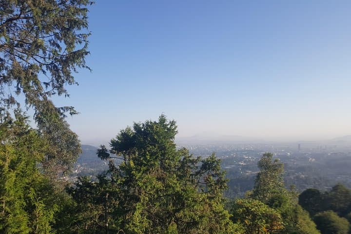 סיור של יום שלם באדיס אבבה עם איסוף והחזרה מהמלון