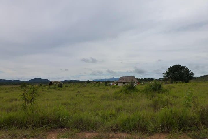 הרפתקת סוואנת רופונוני ומפלי קייאטור של 8 ימים מג'ורג'טאון