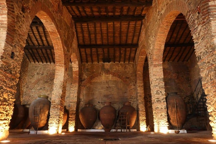 Guided Tour of the Cella Vinaria Antiqua Winery-Museum