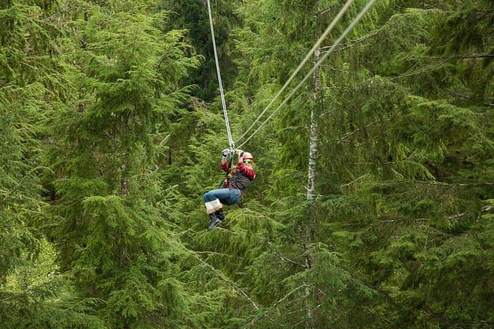 הרפתקת קו פומריאל ויערות גשם בקטשיקן, אלסקה