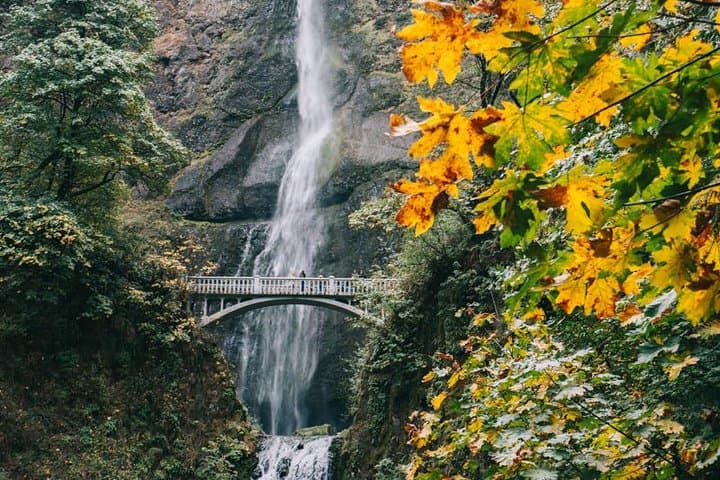 סיור יומי בהר הוד מפורטלנד למפלי מולטנומה ולهود ריבר