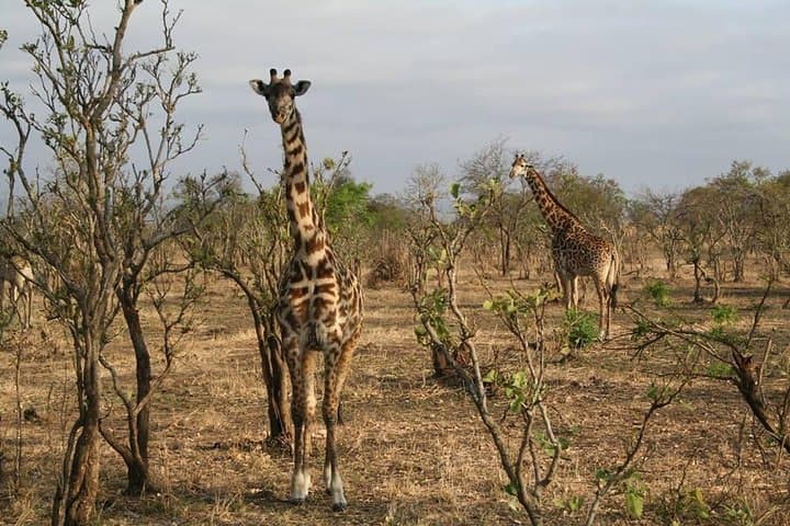 פארק מיקומי הלאומי - 3 ימים