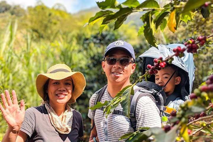 Half-Day Coffee Tour: From the Seed to the Cup, Farm & roastery