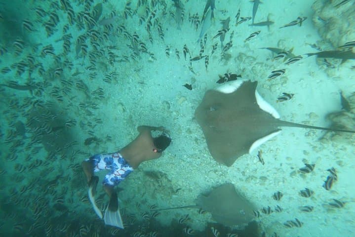 טיול יום לאי מקומי מהולומאלה