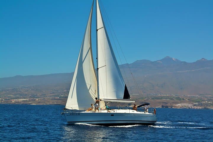 טנריף גילוי לוויתנים ודולפינים במשך 3 שעות