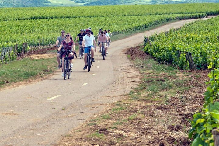 סיור יום אחד באופני E-BIKE ויין בחוף היין של נויטס