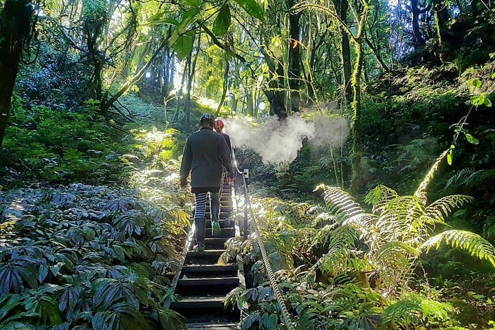 Waitomo’s Hidden Gem: Small-Group Off the Beaten Track Tour