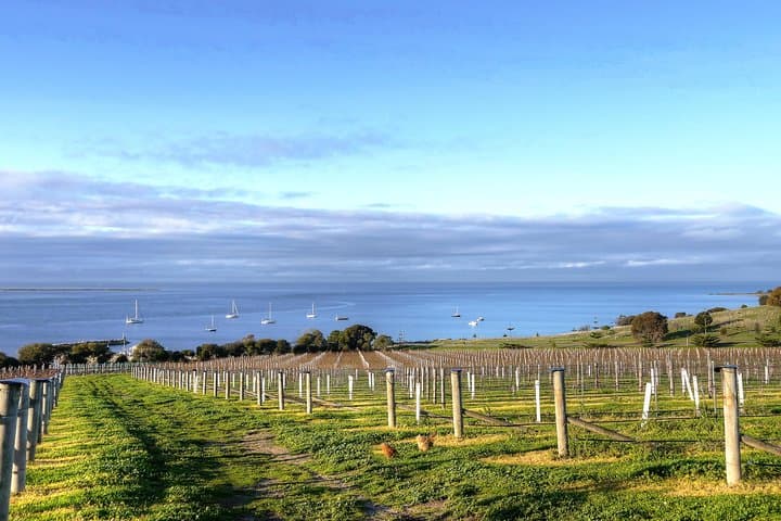 סיור טעימות באי קנגורו - מיועד רק לנוסעי אניות פאר