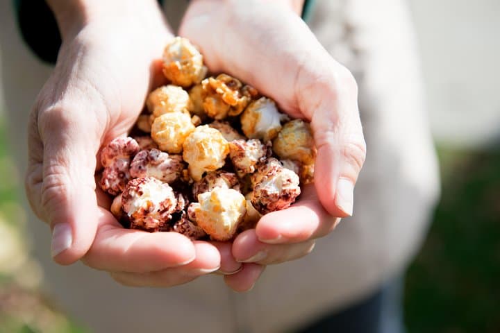 תהנו מסיור הקולינרי של בר הארבור במיין