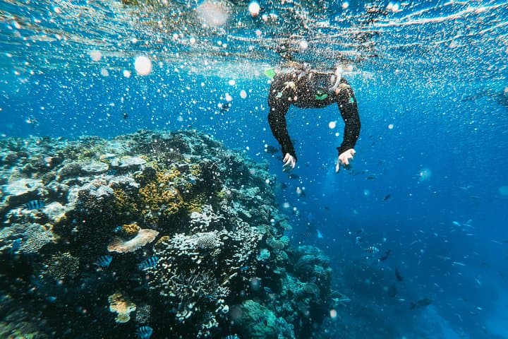 הרפתקת שנורקלינג לה הולה