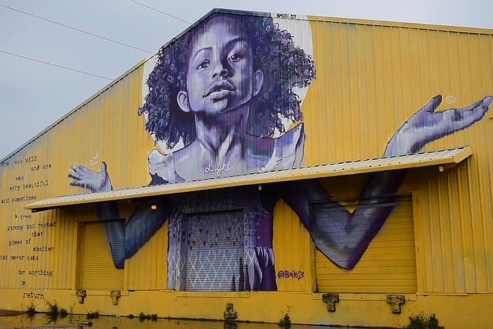 New Orleans Sightseeing City Tour 