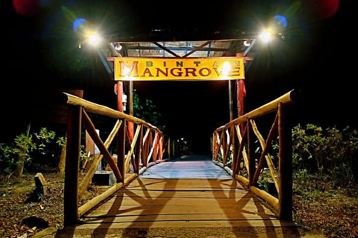 סיור גילת המדליקים של בינטן