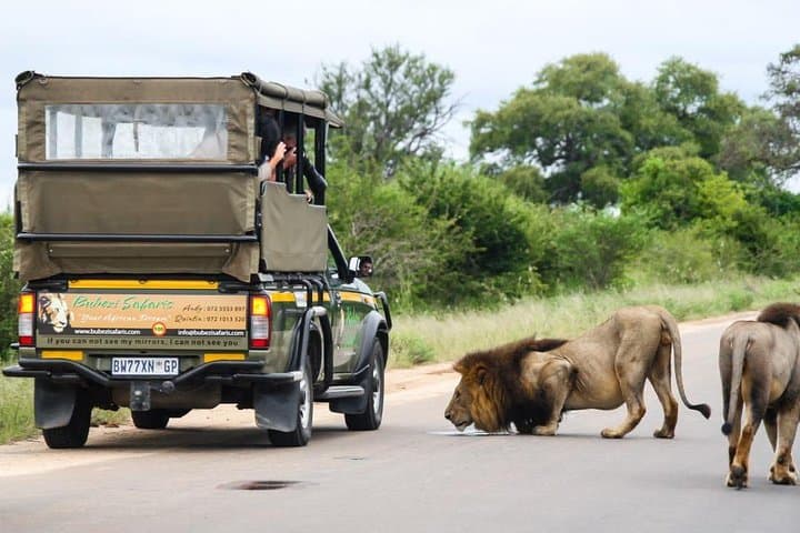 Kruger National Park - Full Day Safari