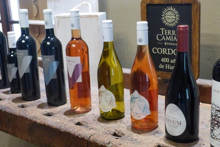 סיור פרטי: סיור חצי יום ביקב קרויה